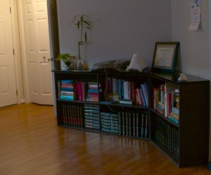 The top for this shelf is amazing.  All shiny and black and Woah!