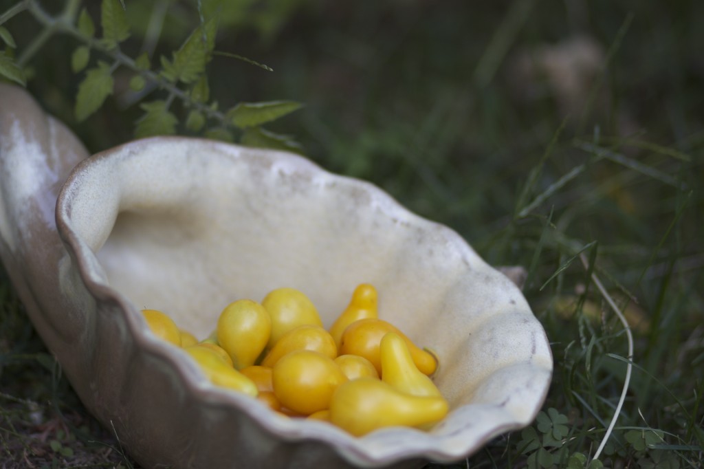 I call these plum tomatoes, but I've noticed most people refer to them as "teardrops." 